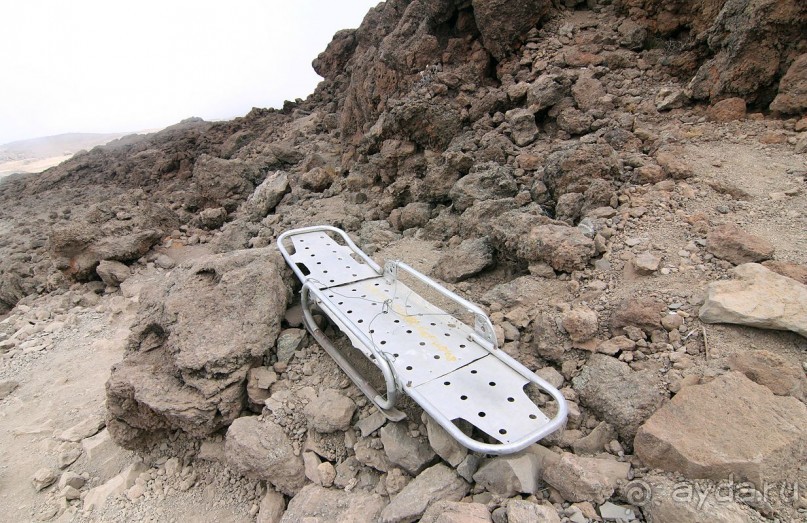 На белой крыше черного континента