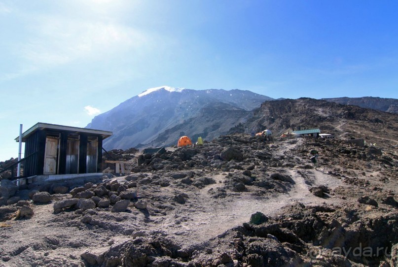 На белой крыше черного континента