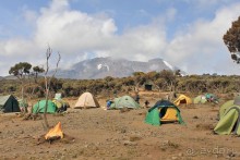 На белой крыше черного континента