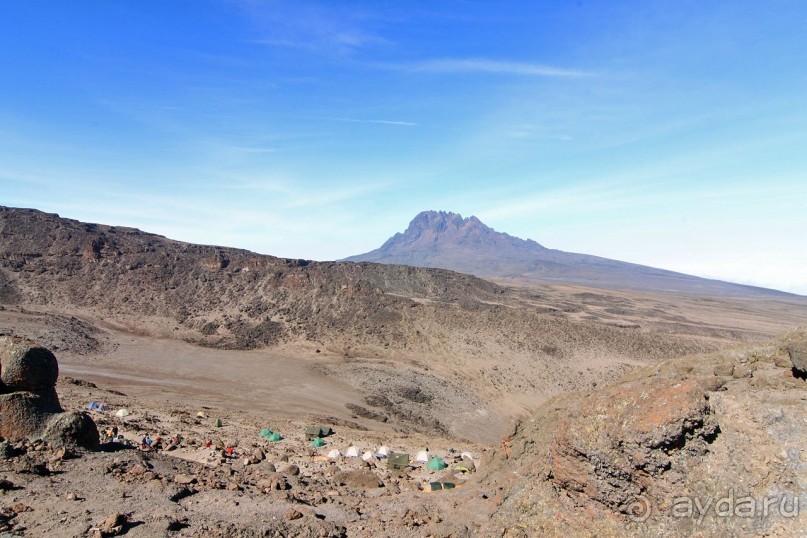 На белой крыше черного континента