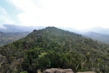 На белой крыше черного континента