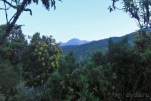 На белой крыше черного континента