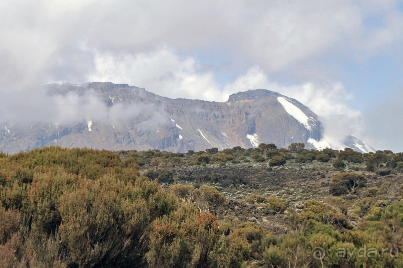 На белой крыше черного континента