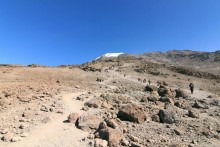 На белой крыше черного континента