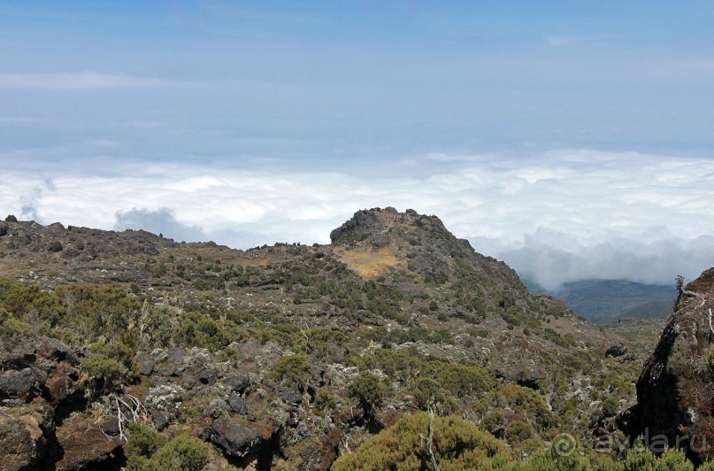 На белой крыше черного континента