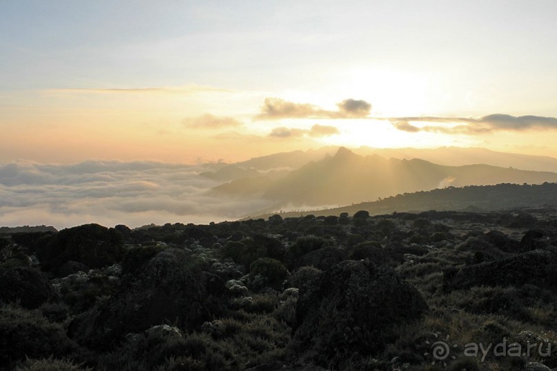 На белой крыше черного континента