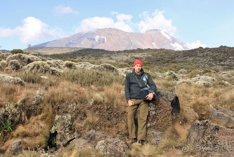 На белой крыше черного континента