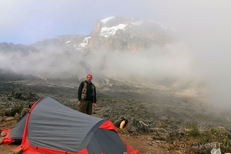 На белой крыше черного континента