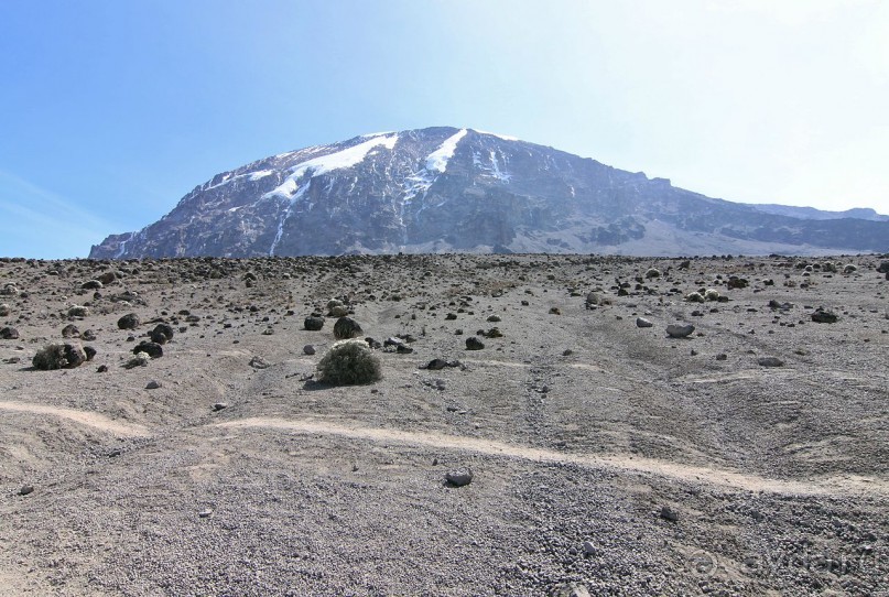 На белой крыше черного континента