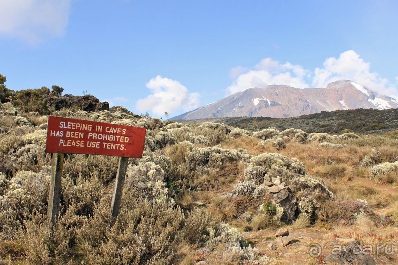 На белой крыше черного континента