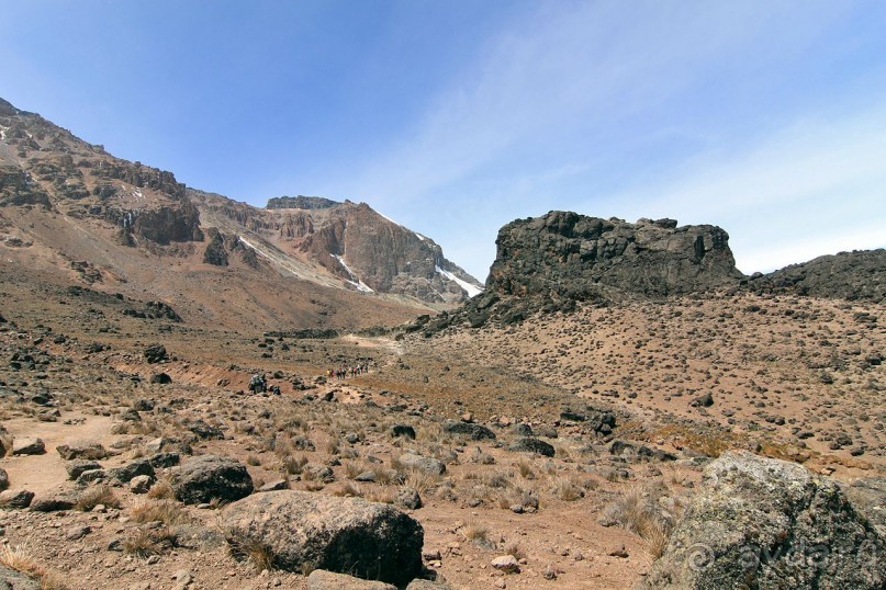 На белой крыше черного континента