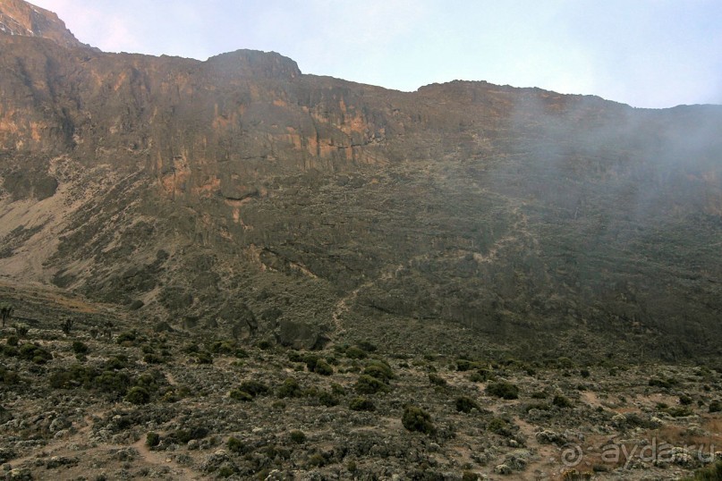 На белой крыше черного континента