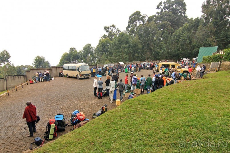 На белой крыше черного континента