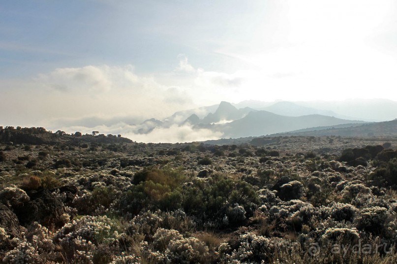 На белой крыше черного континента