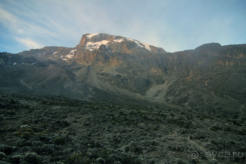 На белой крыше черного континента