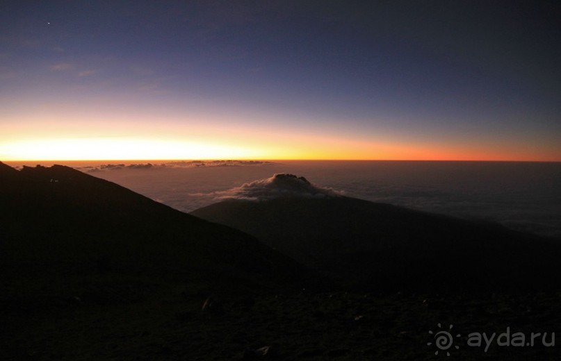 На белой крыше черного континента