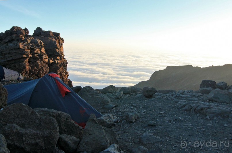 На белой крыше черного континента