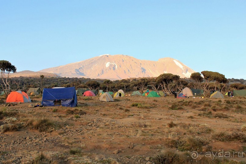 На белой крыше черного континента