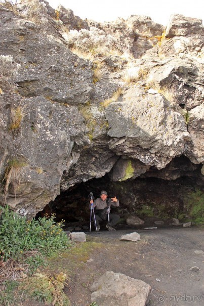 На белой крыше черного континента