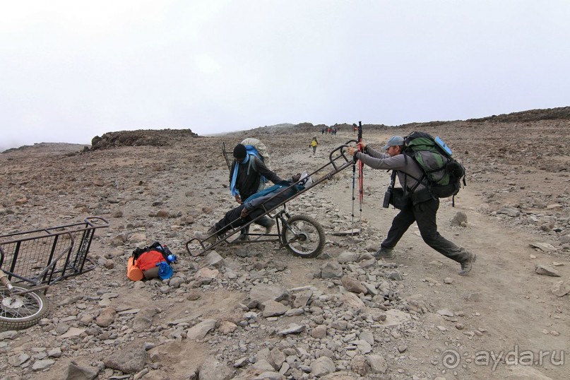 На белой крыше черного континента