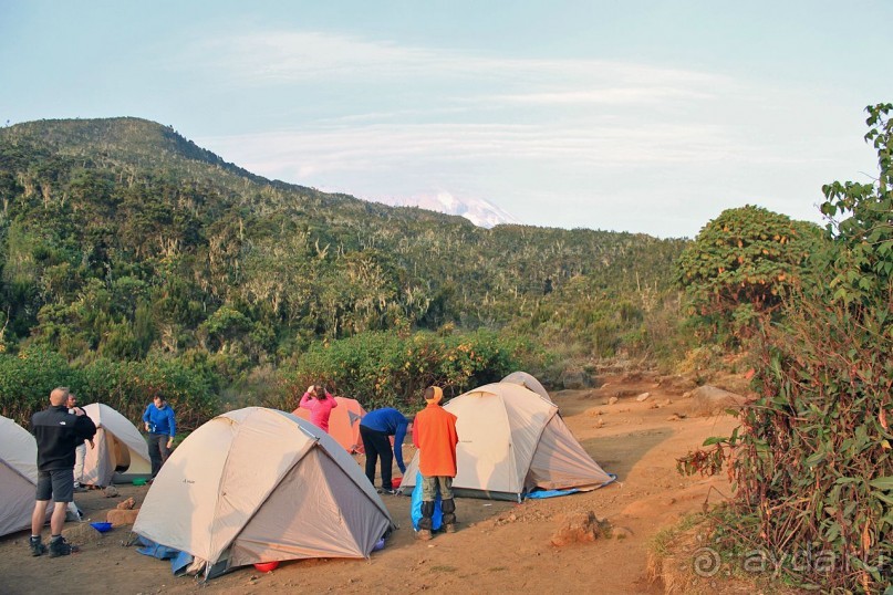 На белой крыше черного континента