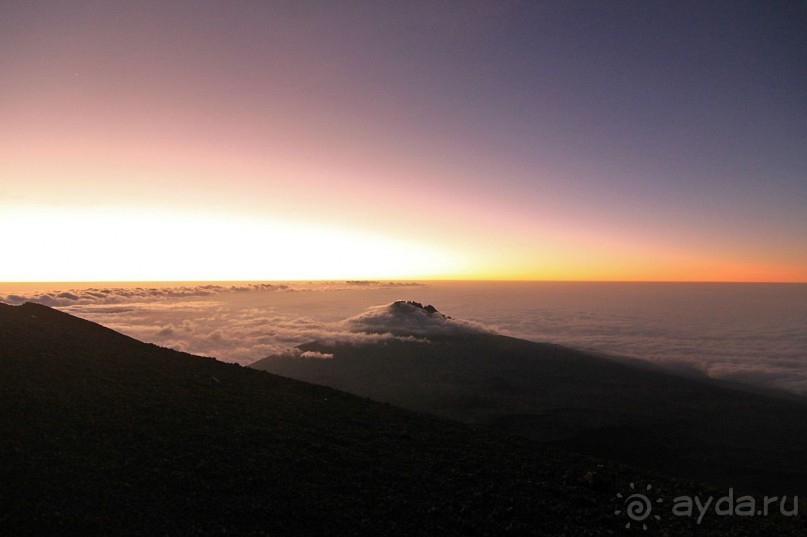 На белой крыше черного континента