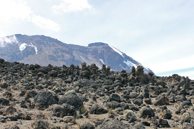 На белой крыше черного континента