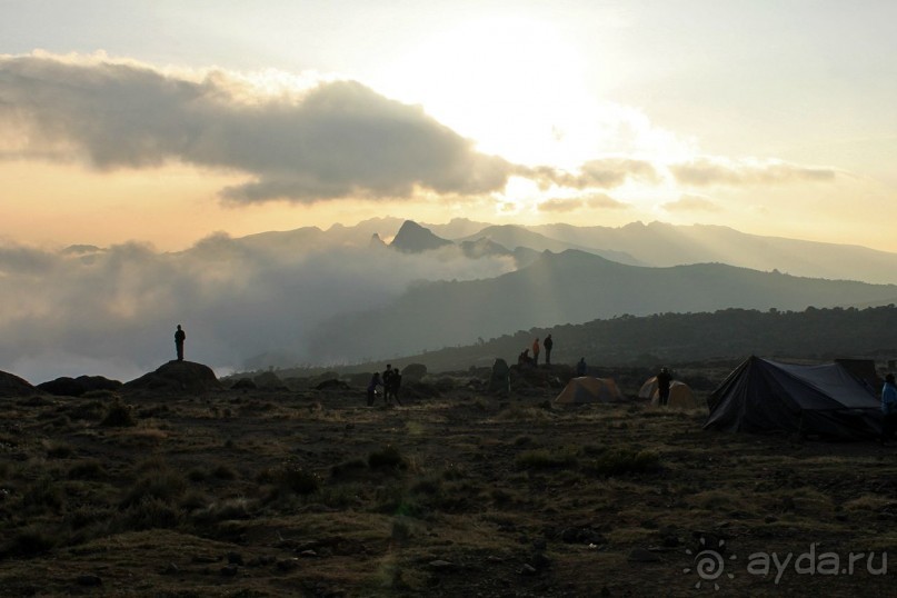 На белой крыше черного континента