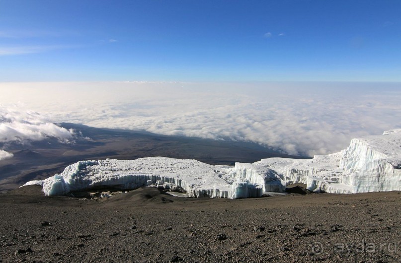 На белой крыше черного континента