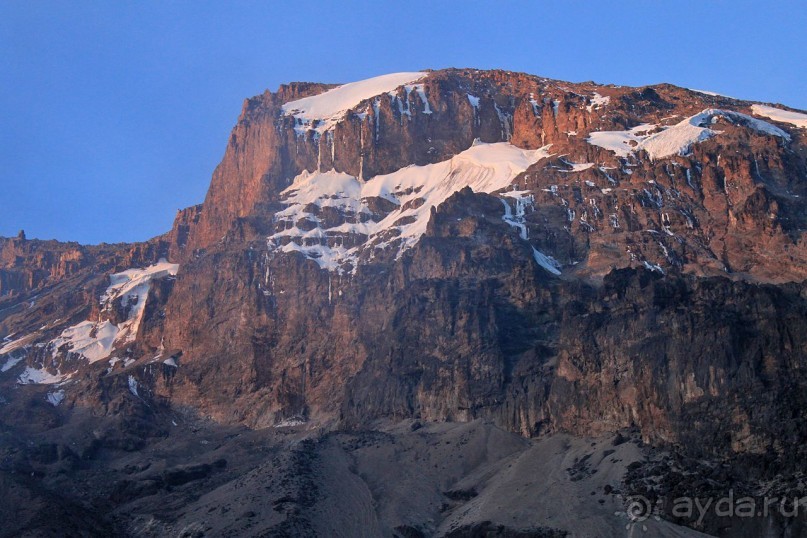 На белой крыше черного континента