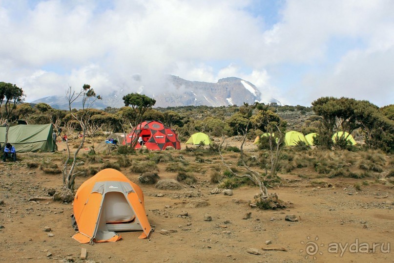 На белой крыше черного континента