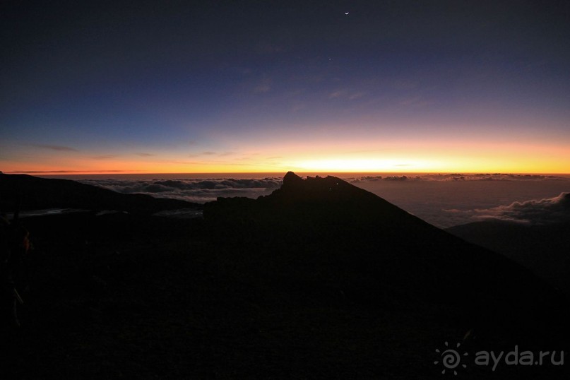 На белой крыше черного континента