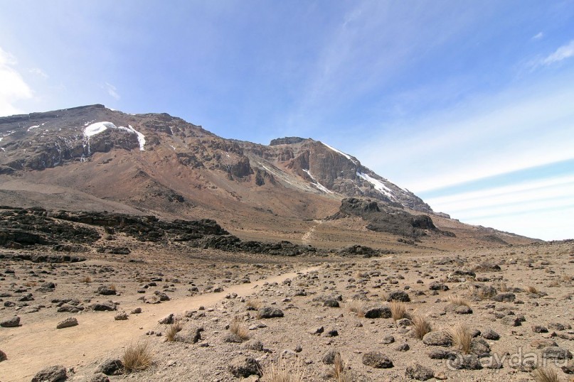 На белой крыше черного континента
