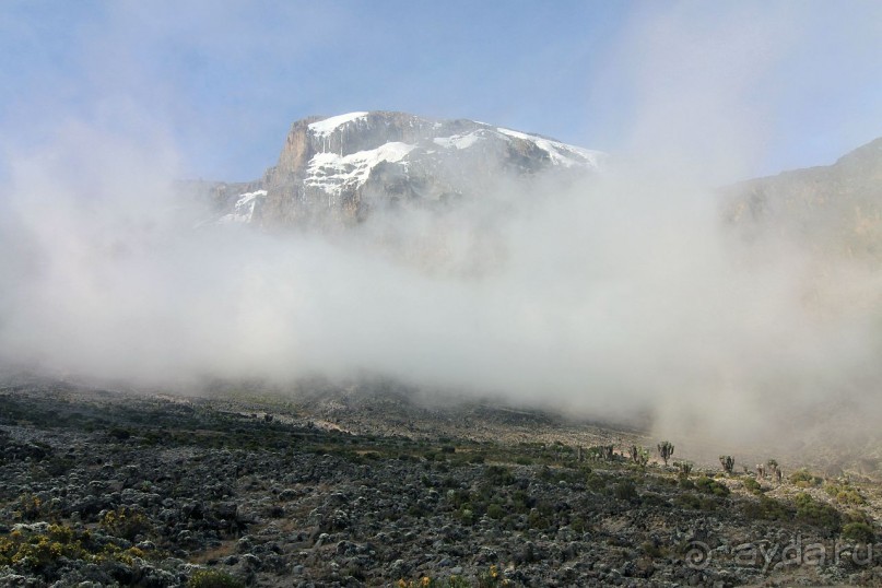 На белой крыше черного континента