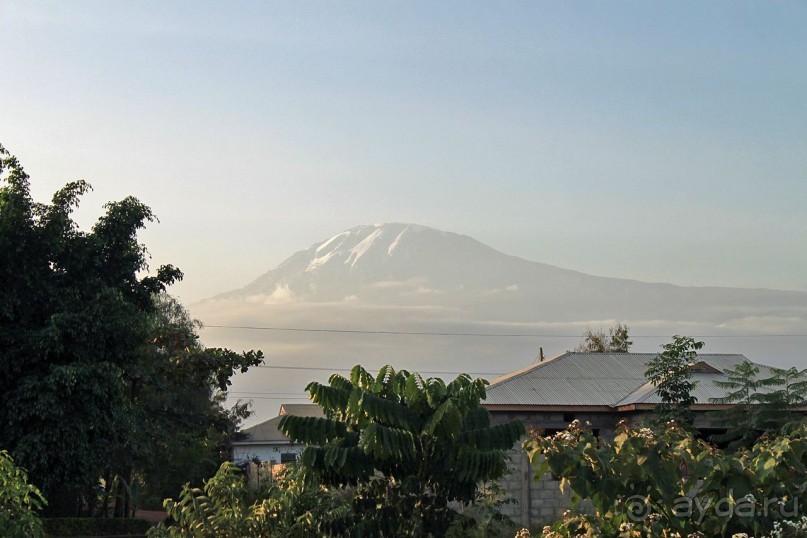 На белой крыше черного континента