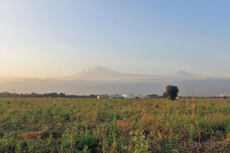 На белой крыше черного континента