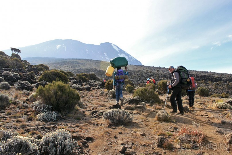 На белой крыше черного континента