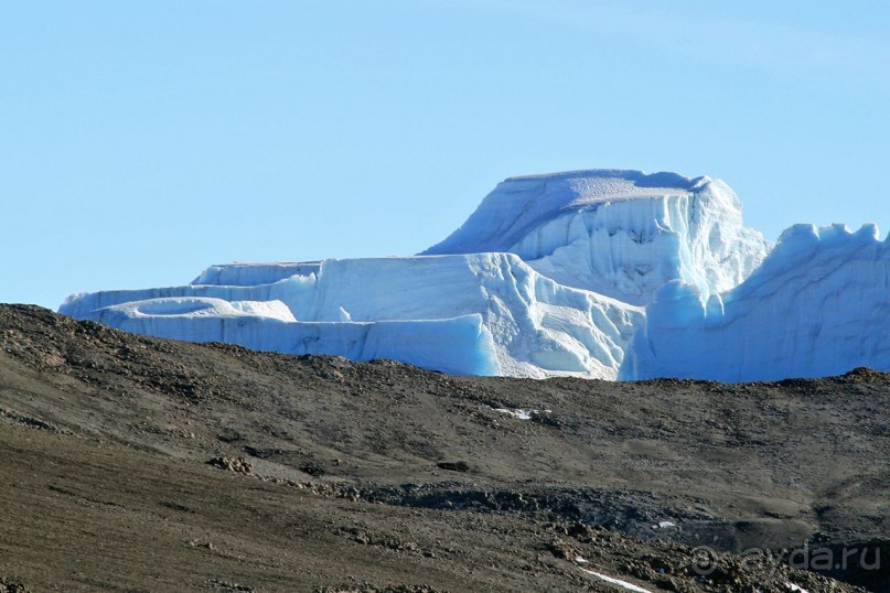 На белой крыше черного континента