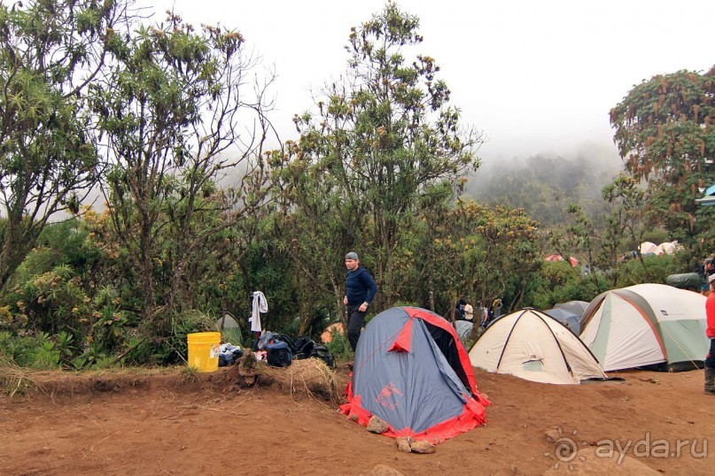 На белой крыше черного континента