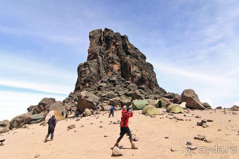 На белой крыше черного континента