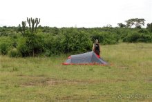 Сафари в Уганде