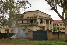 Сафари в Уганде