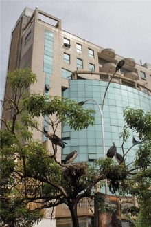 Сафари в Уганде