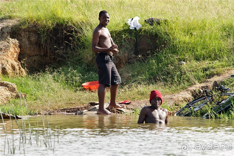 Сафари в Уганде