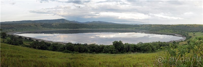 Сафари в Уганде