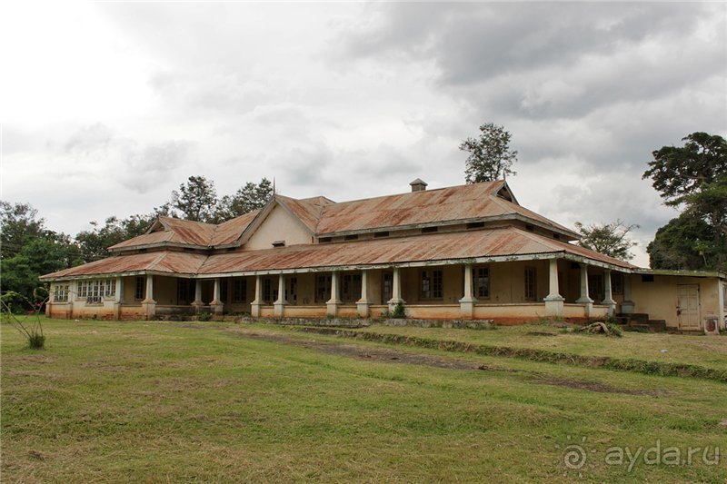 Сафари в Уганде