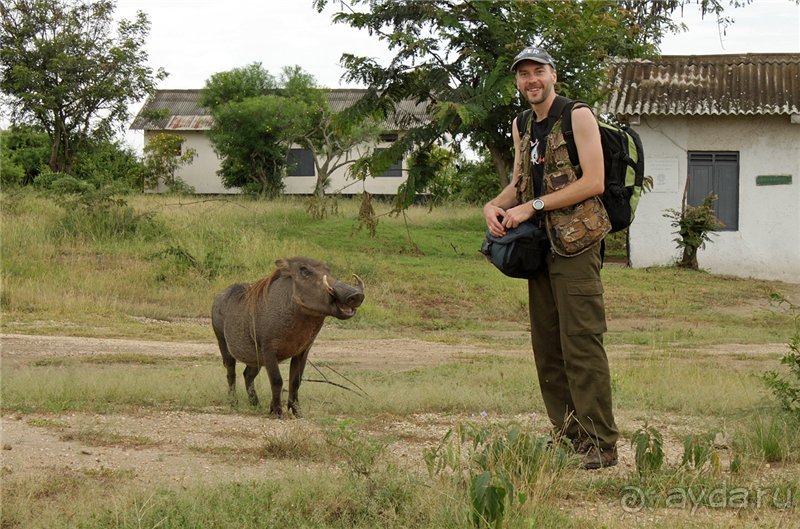 Сафари в Уганде