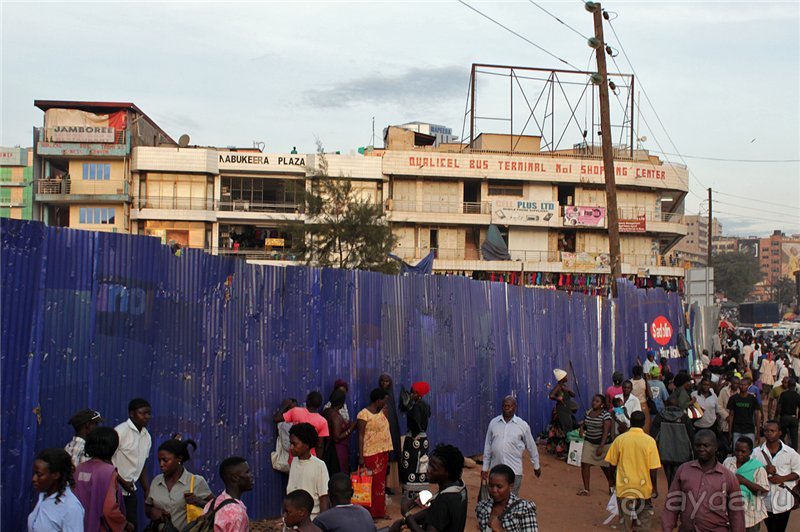 Сафари в Уганде