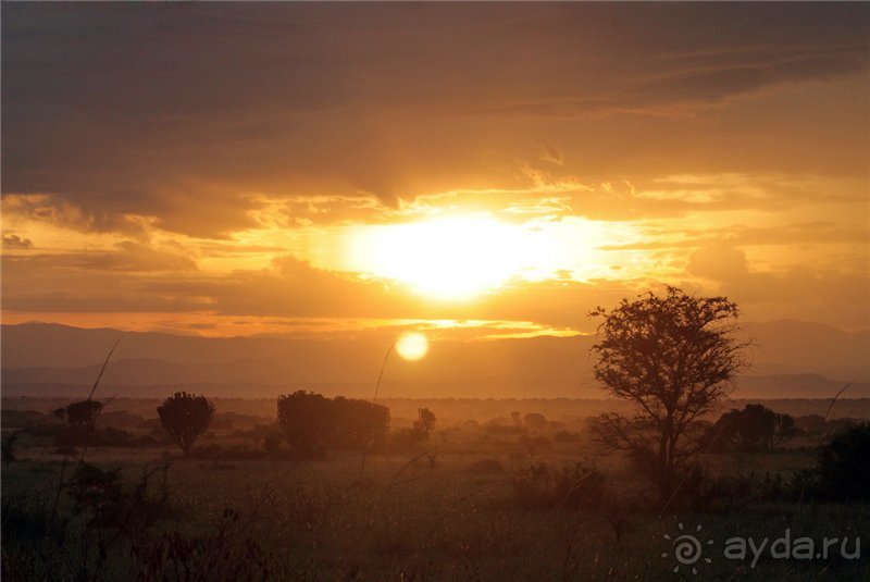 Сафари в Уганде