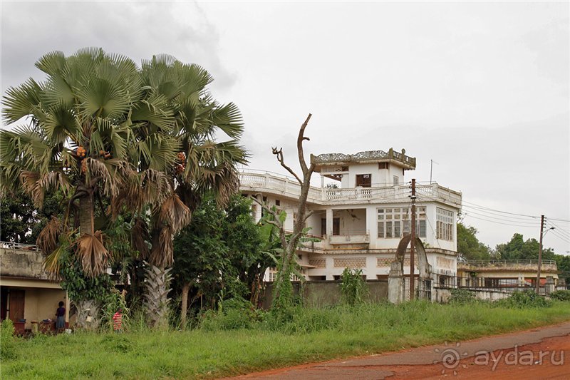 Сафари в Уганде